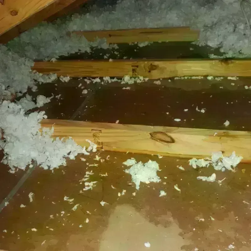 Attic Water Damage in Sugar Creek, MO